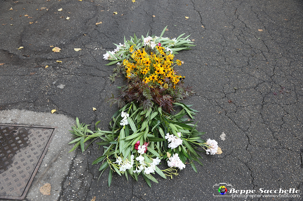 VBS_9519 - Infiorata di Villanova d'Asti 2023.jpg